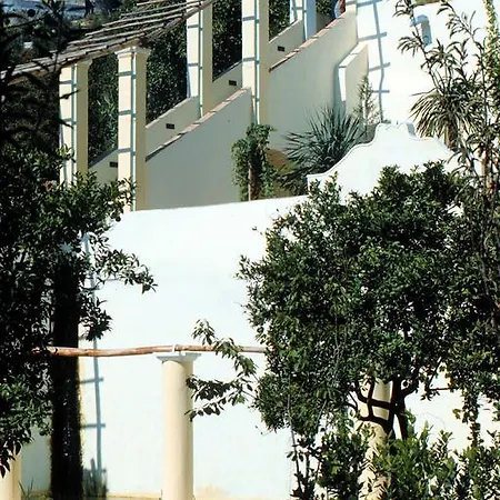 Sichelgaita * Salerno